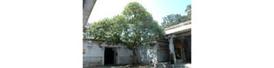 246. திருவல்லம்